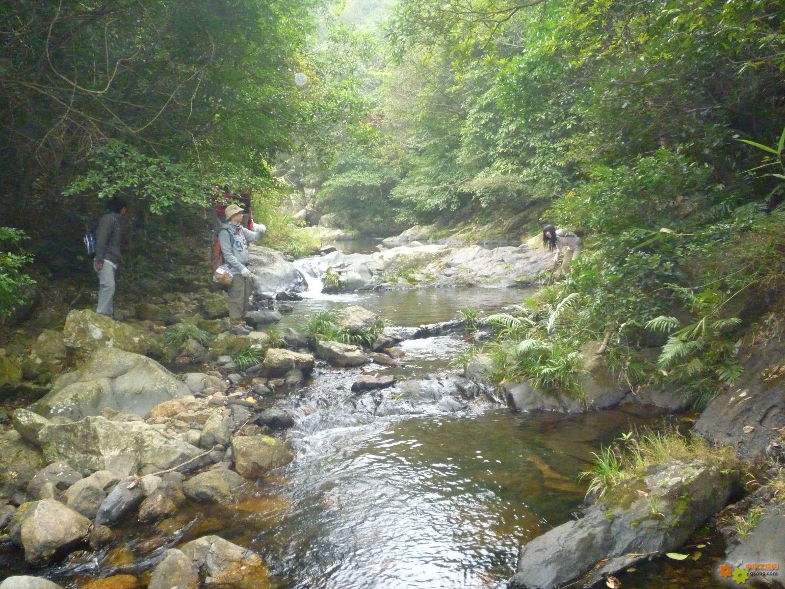 主题:石头河风景